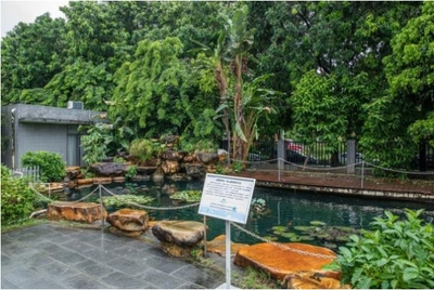 植物醫(yī)生透明工廠 智能制造引領(lǐng)國(guó)妝自主生產(chǎn)新潮流，生態(tài)環(huán)境材料銷售成亮點(diǎn)