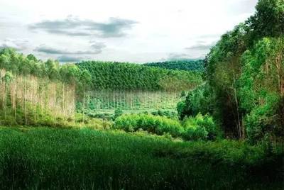 芬蘭知名環(huán)保材料企業(yè)在中國(guó)市場(chǎng)的戰(zhàn)略布局與前景分析