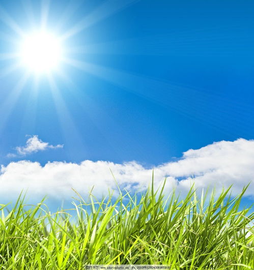 用心交流，換位思考 以完美溝通推動生態環境材料銷售，共筑美好生活