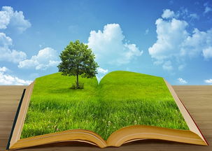 生態環境材料的發展趨勢與市場銷售前景