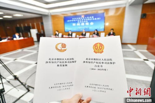 北京朝陽法院發布涉外知識產權民事司法保護白皮書 提升服務能力，優化營商環境
